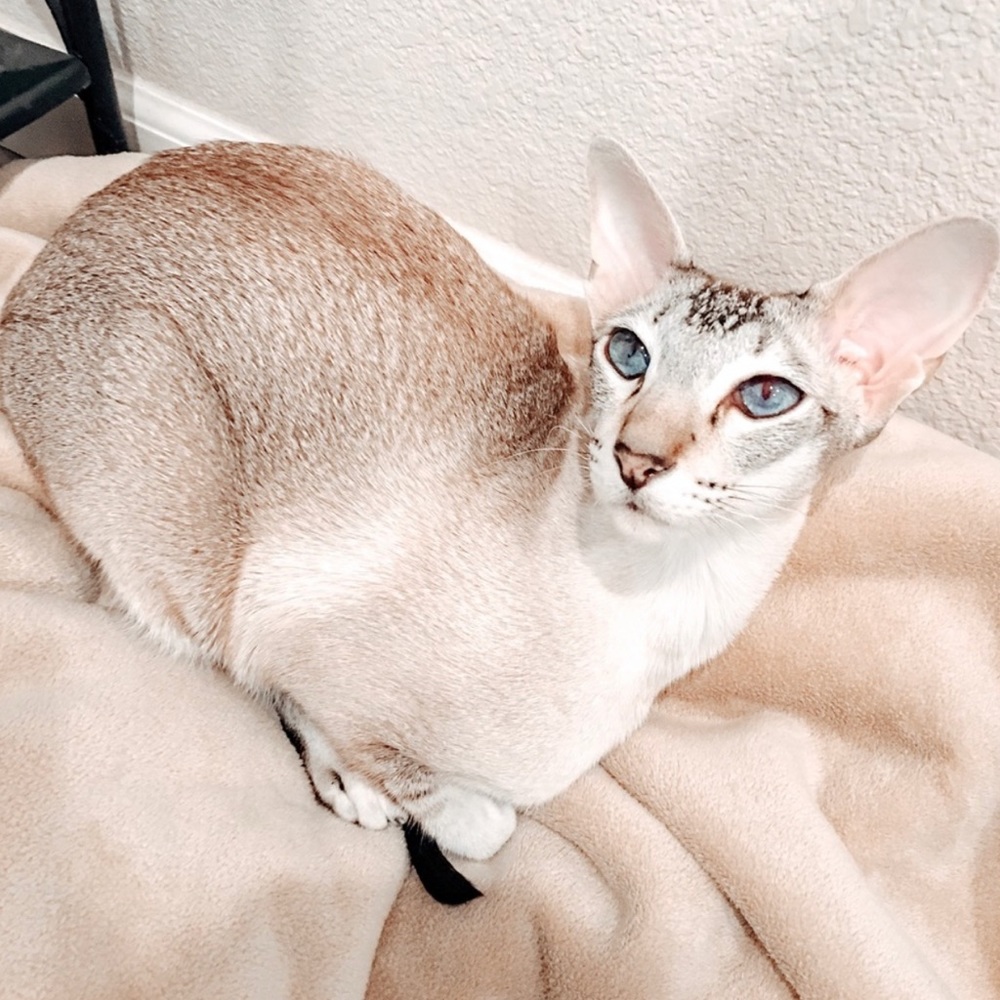 Hi! ♡︎ - Picture 2 of 6